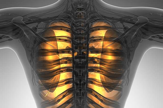 تقویت سیستم ایمنی